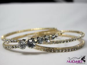 FJ0089Fashion Golden and diamond earrings