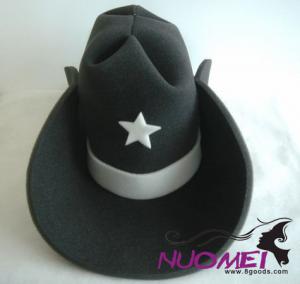 HS0127 fashion hat