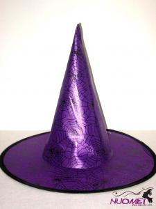 HS0180  Fashion hat