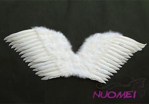 BWS0099 Beautiful Wings