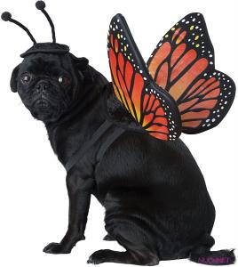 DC0075 Pet Monarch Butterfly Dog Costume