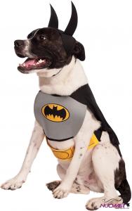 DC0148 DC Comics Classic Batman Pet Costume, Medium