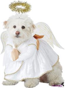 DC0149 Pet Heavenly Hound Dog Costume Costume