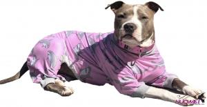 DC0183 Pitbull Pajamas/Pink Shark Print Dog Onesie