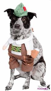 DC0238 Dog Costume - Barktoberfest Halloween Dog Costume