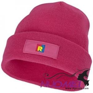 F0154 BOREAS BEANIE with Patch in Magenta