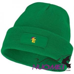 F0155 BOREAS BEANIE with Patch in Fern Green
