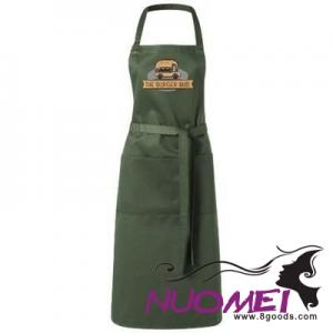 F0850 APRON with 2 Pockets in Green