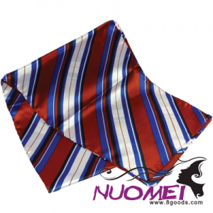 F0937 LONG POLYESTER SCARF